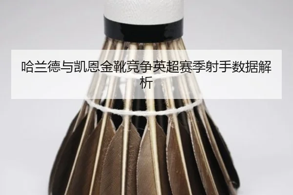 哈兰德与凯恩金靴竞争英超赛季射手数据解析