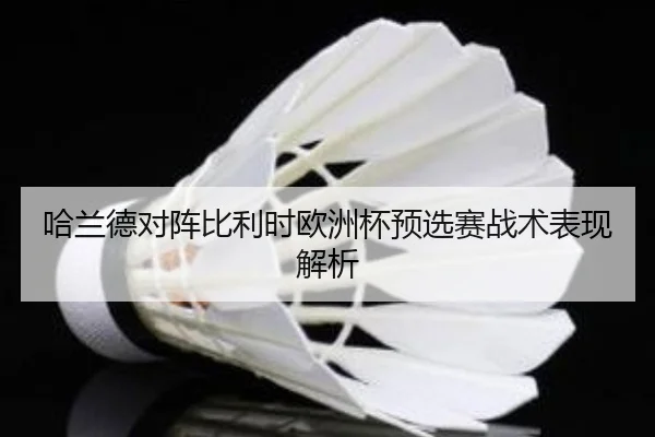 哈兰德对阵比利时欧洲杯预选赛战术表现解析（mgsport）